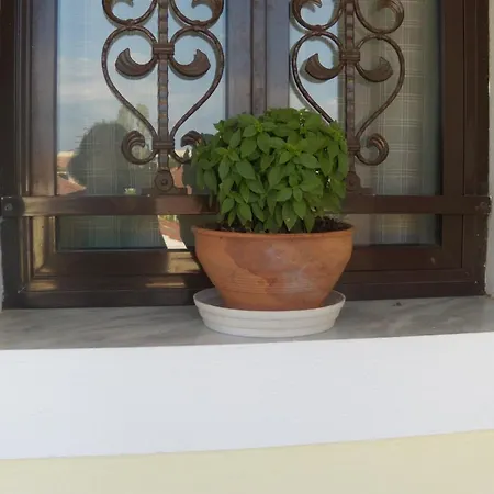 Antigoni's Appartement Acharavi (Corfu)