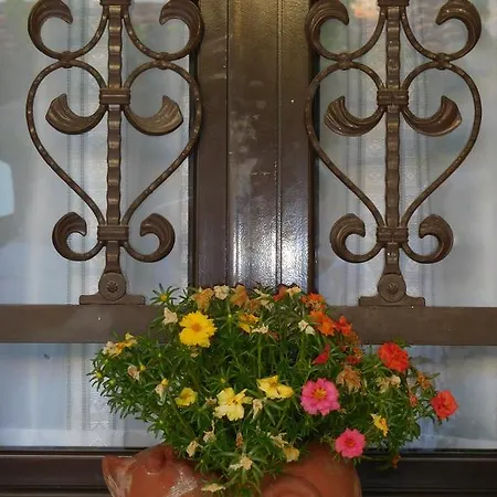 Apartman Antigoni's